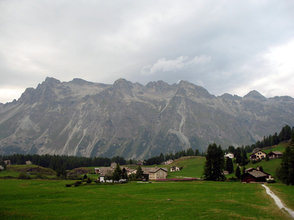 Фекс Платта