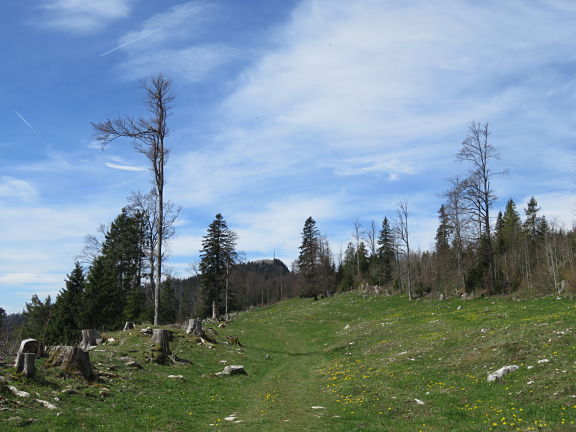 Подъем по хребту