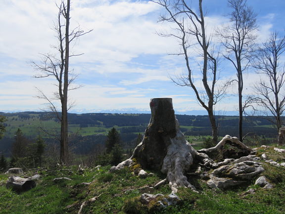 Вид на Савойские Альпы