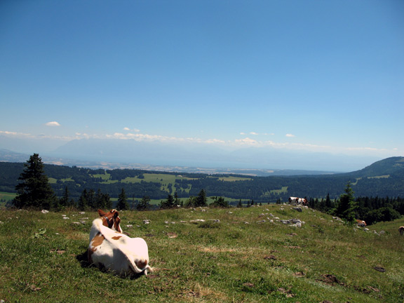 Отдых на вершине