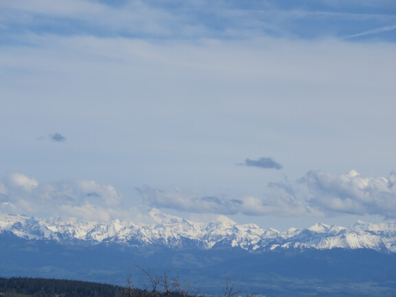 Альпийская панорама с Монбланом