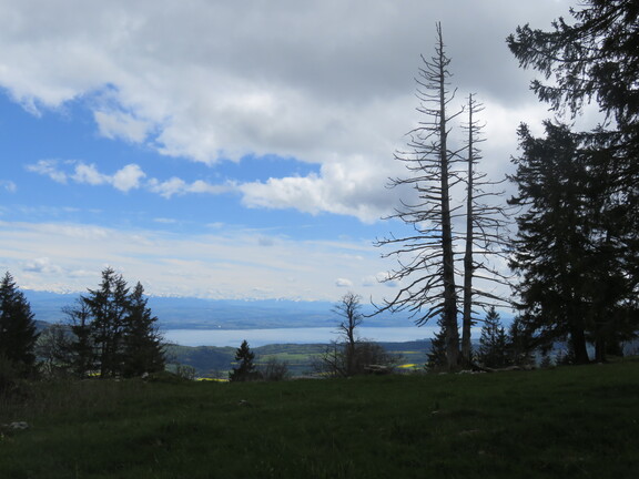 Вид на Невшательское озеро с горы Мон д'Амин
